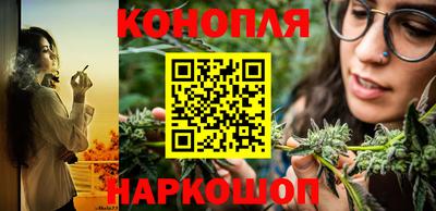 индика Новозыбков
